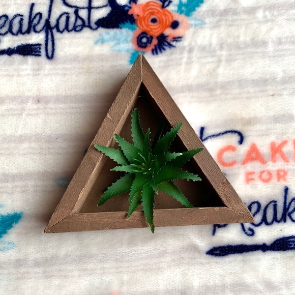 Other - 🌱 Succulent / Cactus Home Accent 🌱